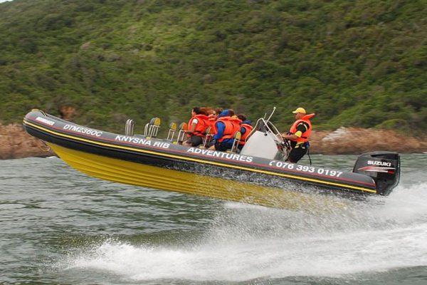 MARINE LOMAR MARINE DEALER